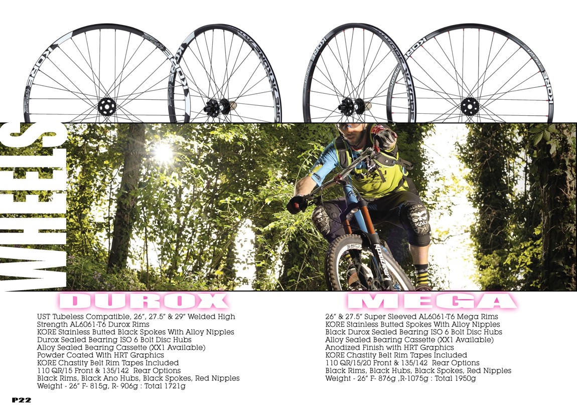 Kore 2015 Final hires Page 22